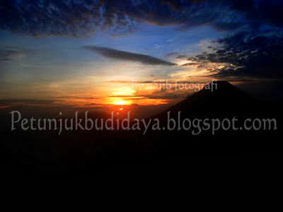 SUNRISE DI SIKUNIR DIENG PLATEAU