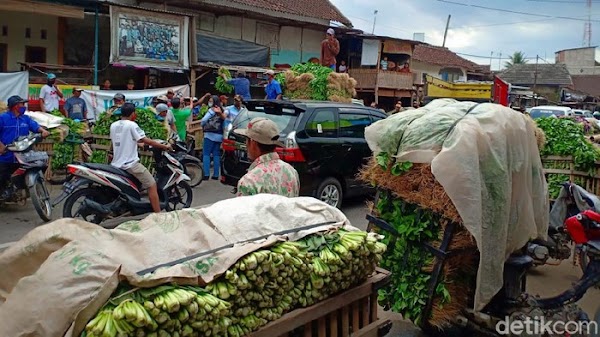 Efek Viral Pedagang Buang Sayur di Malang, Diborong Pemkab untuk Dapur Umum