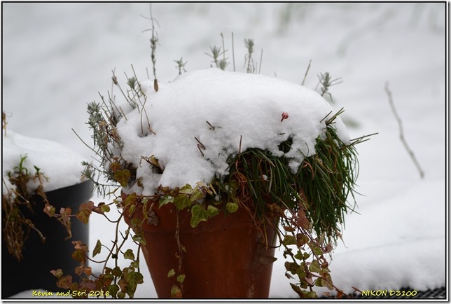 Shots from Home - March