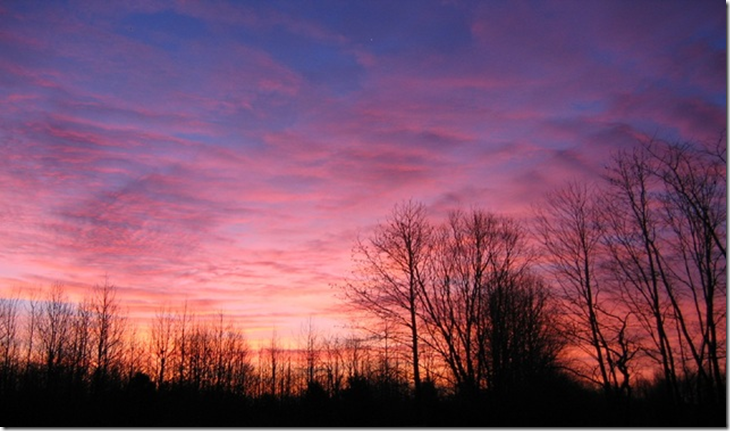 breaking dawn