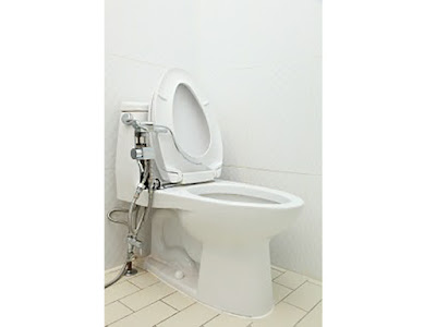 toilets bidets in USA and Canada