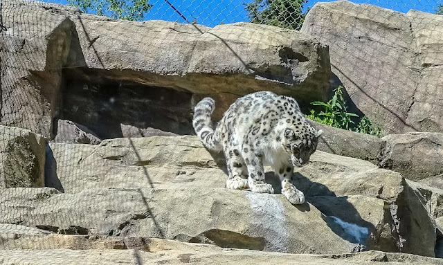 Alaska Zoo in Anchorage, Alaska