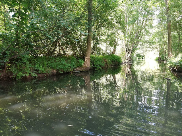 Spreewald - Brandenburgia jak z obrazka.