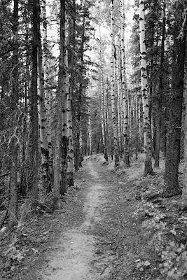 The Great Trail Alberta.