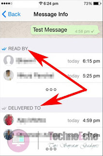 cara mengetahui siapa saja yang membaca pesan di whatsapp group