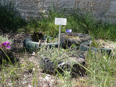 Tire planter with sign