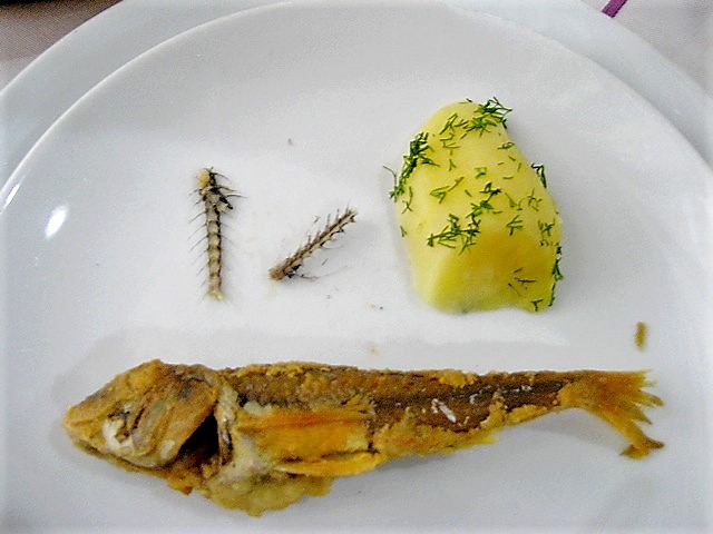 Fish for dinner. Batumi, Caucasus Georgia. April 2012. Credit: Mzuriana.