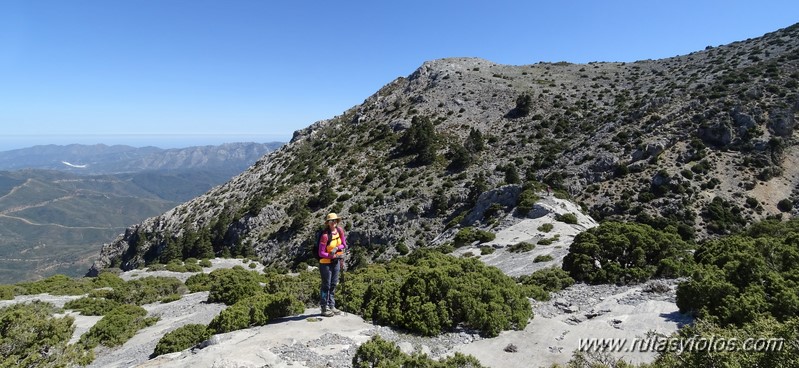 Subida al Torrecilla por la Loma Larga