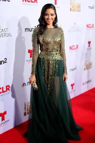 Edy Ganem attends the 2014 NCLR ALMA Awards