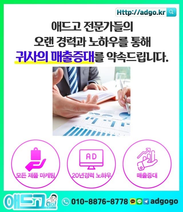 강릉먼나무판매