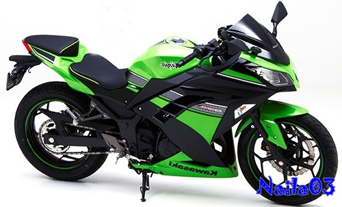 Price Kawasaki Ninja 300cc Newest 2021