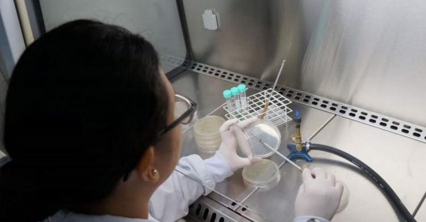 Científicos peruanos identifican microorganismos con propiedades anticancerígenas en Lambayeque y Piura