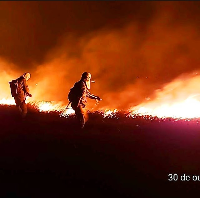 Corpo de Bombeiros é acionado para conter fogo, no norte do Piauí