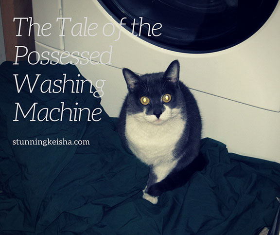 The Tale of the Possessed Washing Machine