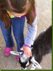 photo 2 (4)
