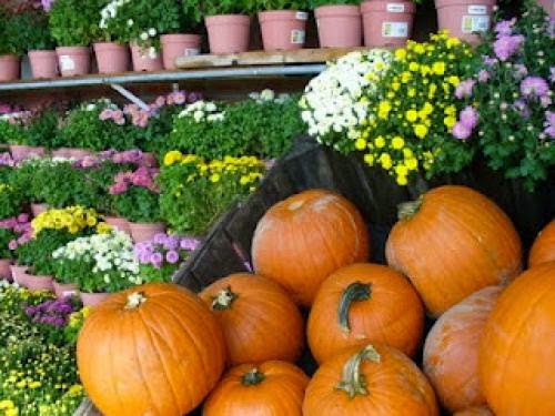 Autumn Equinox The Season Of The Witch Begins
