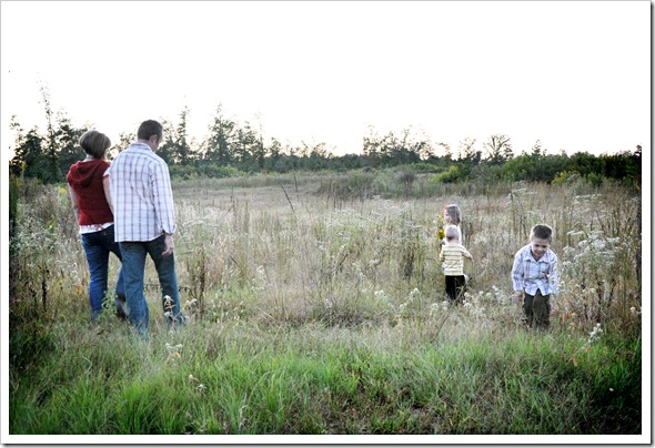 Meadow
