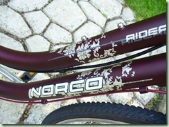 RideauLace2