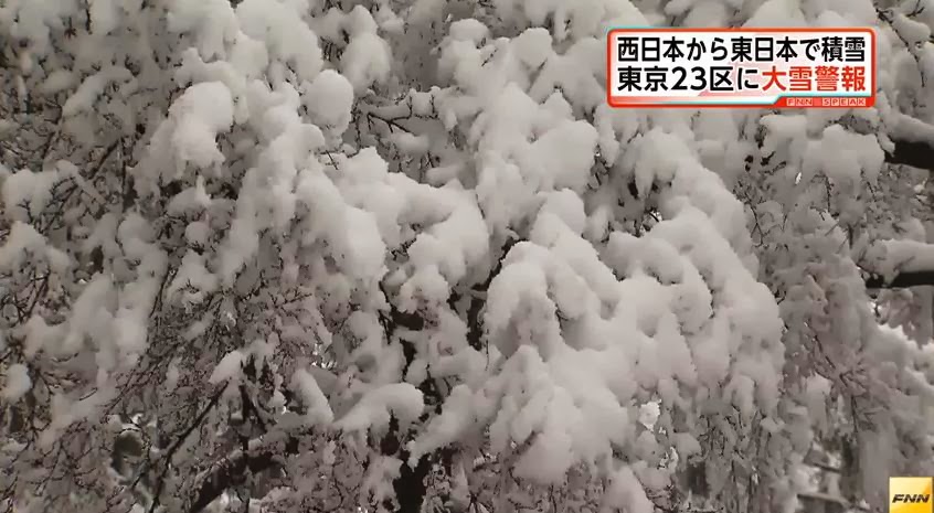 For Our Japan 東京13年來首個大雪警報民眾搶購食物
