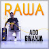 [VIDEO + AUDIO ]: Ado Gwanja - Rawa