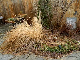 Leaside Toronto Back Garden Spring Cleanup Before by Paul Jung Gardening Services--a Toronto Gardening Company