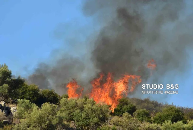 36 φωτιές το τελευταίο 24ωρο - Υψηλός ο κίνδυνος πυρκαγιάς για αρκετές περιοχές