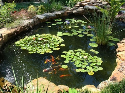 วิธีการออกแบบตกแต่งบ่อปลาในสวน Fish Tank Garden