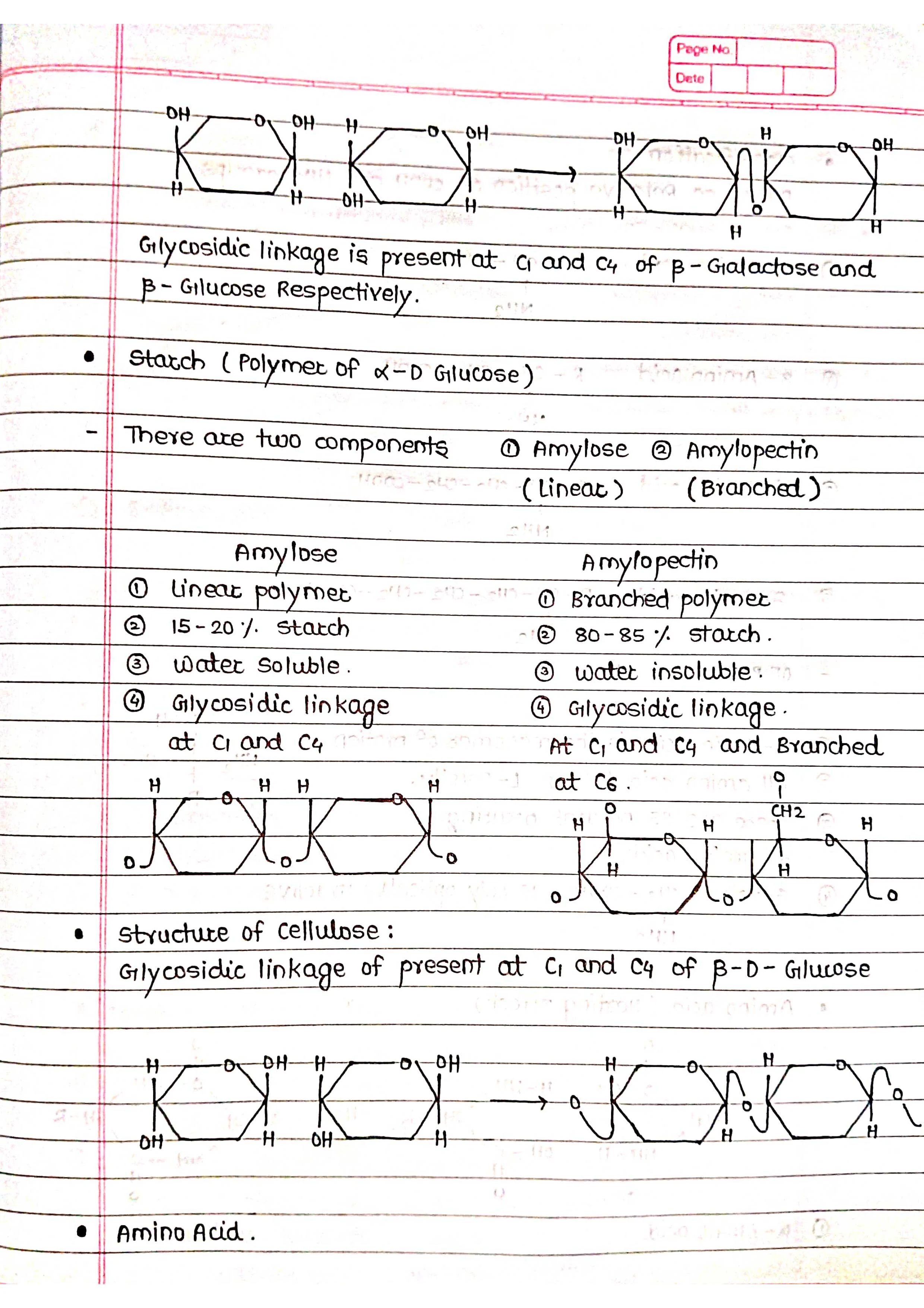 Handwritten Biomolecule - Short Notes 📚