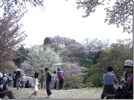 DSCF0737
