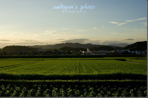 D700_2012-07-16_034