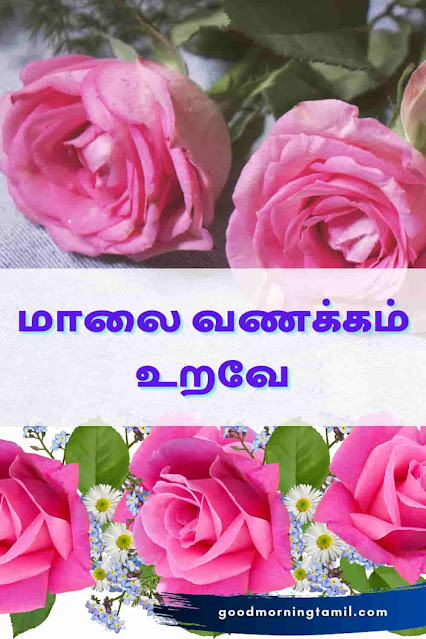 tamil good evening images
