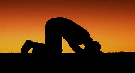 All In One Computer Mobiles Software Keys Islamic All In One Computer Mobiles Software Keys Islamic