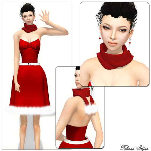 Outfit Styles by Danielle Christmas Dress Holiday free gift danielle rayne