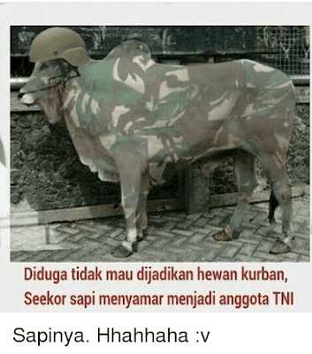 Kumpulan Meme dan Gambar Kocak Hewan Qurban yang Mengundang Tawa Terbaru  Kumpulan Meme dan Gambar Kocak Hewan Qurban yang Mengundang Tawa Terbaru 2018 