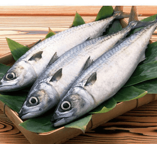 Vanjaram Fish Names in different languages