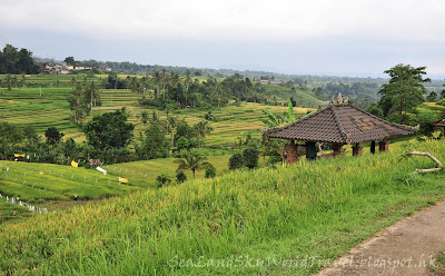 Jatiluwih rice terrace, bali, 峇里