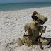 Antique Bing Teddy Bear Goes to the Seashore