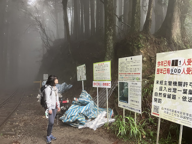 嘉義,阿里山,眠月線,沼平車站