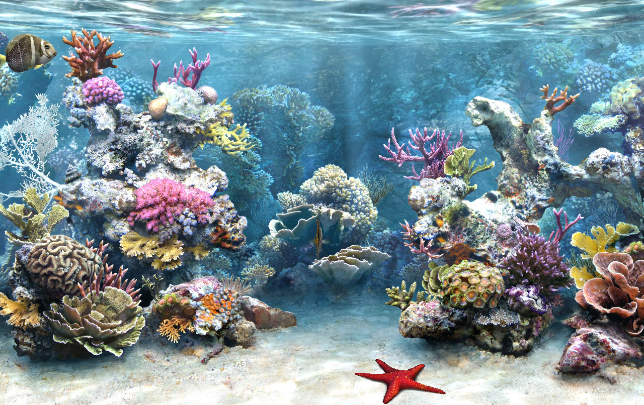 Download Full HD 3D Aquarium Wallpapers