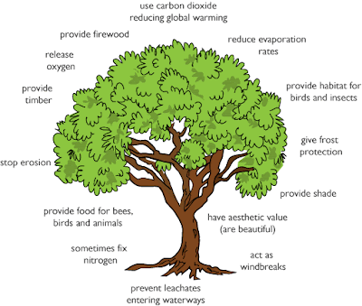 গাছপালার প্রয়োজনীয়তা - বাংলা রচনা | Bengali Essay on Plant Requirement | Bangla Paragraph Writing for Class III - VI