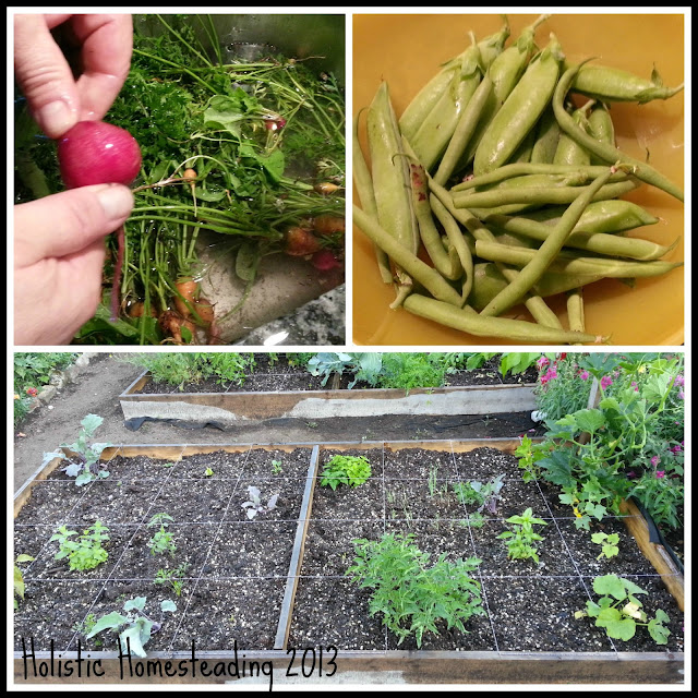 Square Foot Gardening