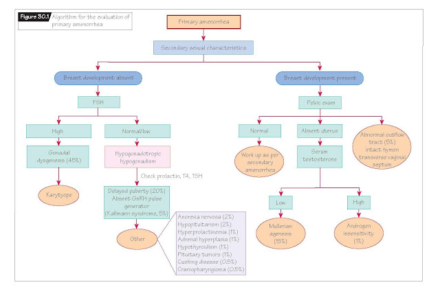 Etiologies of primary amenorrhea