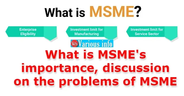 What is MSME? What is its importance, discussion on the problems of MSME