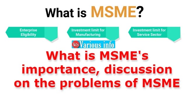 What is MSME? What is its importance, discussion on the problems of MSME