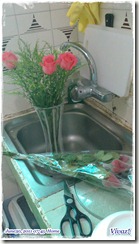 20110630073_n