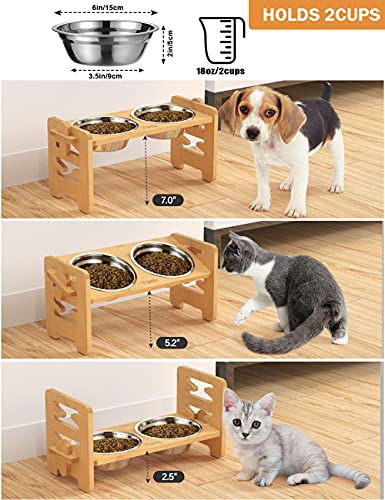 Top 5 Product Reviews | Elevated Dog Bowls for Dogs and Cats