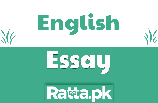 Life in Big City English Essay for 10th and 12th Class