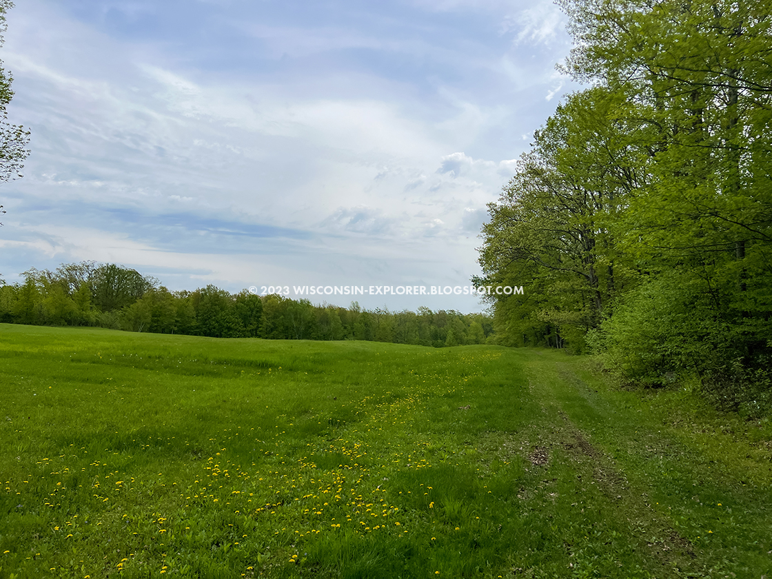 grass trail beside grass fields with dandelions