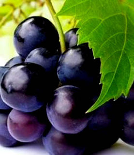 Black Grapes