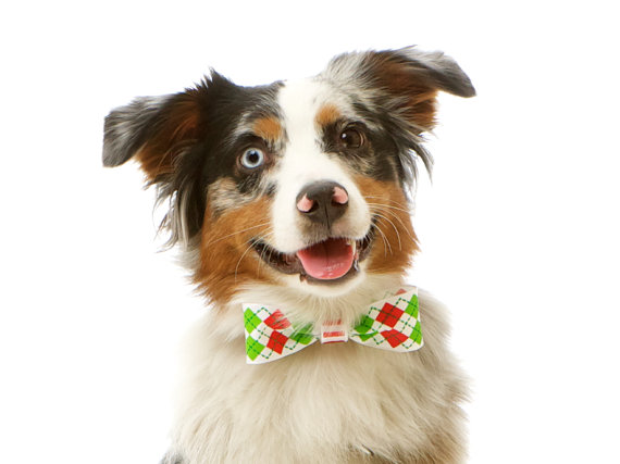  their pics and they are both styling their bow ties for the wedding